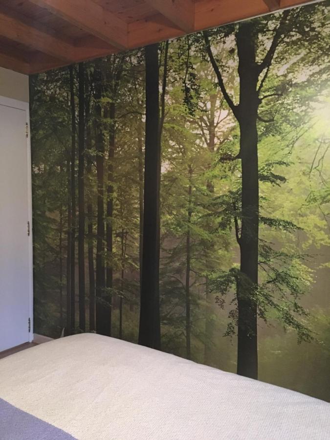 Arduena - Het Ardennetje Villa Blaimont ภายนอก รูปภาพ